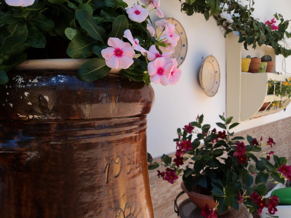 B&B Il Viandante Месане Екстериор снимка